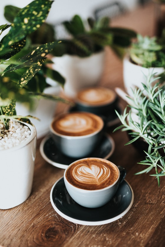 Bitkilerin arasında servis edilen latte